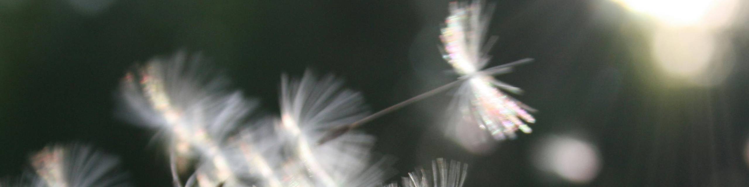 Coaching für Kinder und Jugendliche in Wiesbaden